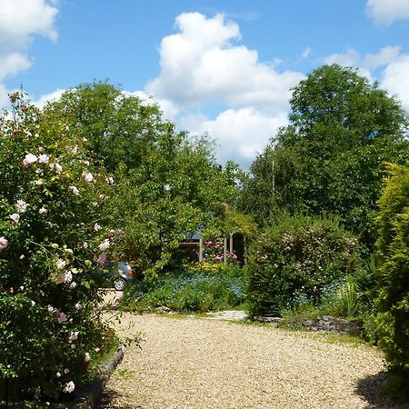 Sleepy Hollow Cottages Somerton  Eksteriør billede